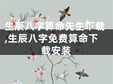 生辰八字算命先生下载,生辰八字免费算命下载安装