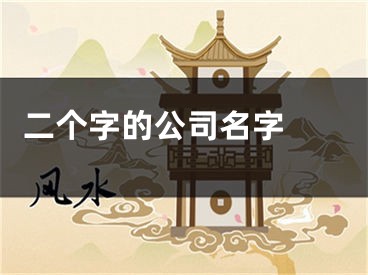  二个字的公司名字 