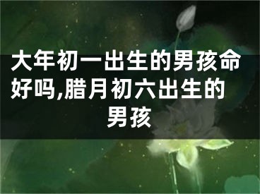 大年初一出生的男孩命好吗,腊月初六出生的男孩