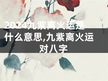 2024九紫离火运是什么意思,九紫离火运对八字