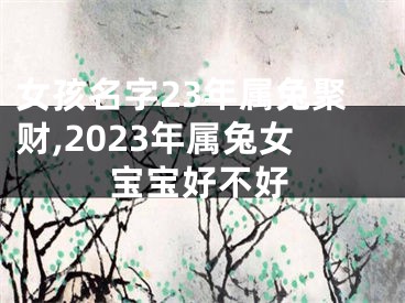 女孩名字23年属兔聚财,2023年属兔女宝宝好不好