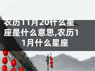 农历11月20什么星座是什么意思,农历11月什么星座