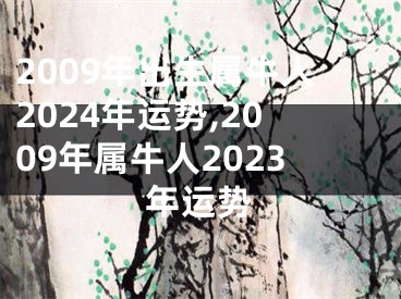 2009年出生属牛人2024年运势,2009年属牛人2023年运势