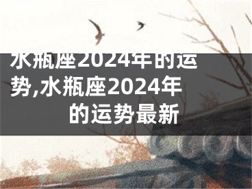 水瓶座2024年的运势,水瓶座2024年的运势最新