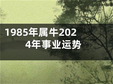 1985年属牛2024年事业运势