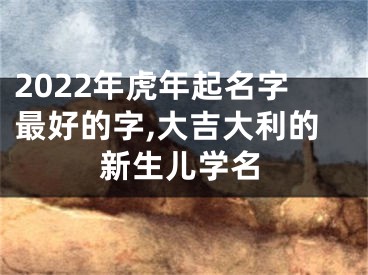 2022年虎年起名字最好的字,大吉大利的新生儿学名