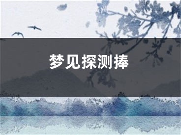 梦见探测捧