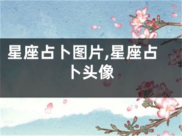 星座占卜图片,星座占卜头像