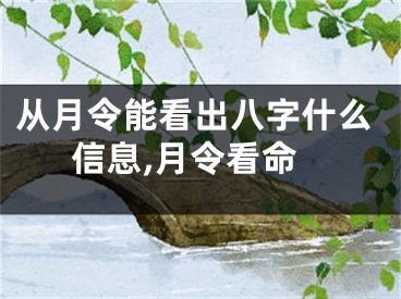 从月令能看出八字什么信息,月令看命