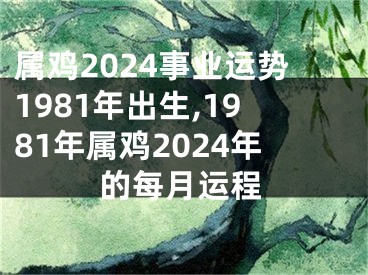 属鸡2024事业运势1981年出生,1981年属鸡2024年的每月运程