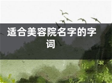  适合美容院名字的字词 