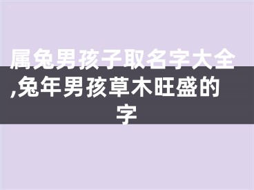 属兔男孩子取名字大全,兔年男孩草木旺盛的字