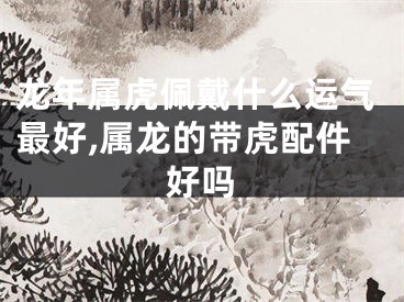 龙年属虎佩戴什么运气最好,属龙的带虎配件好吗