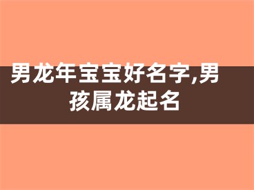 男龙年宝宝好名字,男孩属龙起名