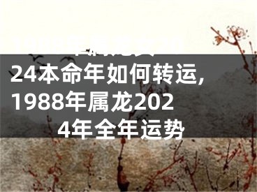 1988年属龙女2024本命年如何转运,1988年属龙2024年全年运势