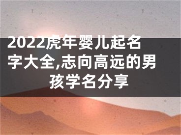 2022虎年婴儿起名字大全,志向高远的男孩学名分享