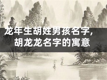 龙年生胡姓男孩名字,胡龙龙名字的寓意