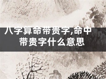 八字算命带贵字,命中带贵字什么意思