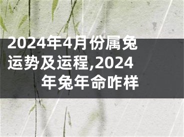 2024年4月份属兔运势及运程,2024年兔年命咋样