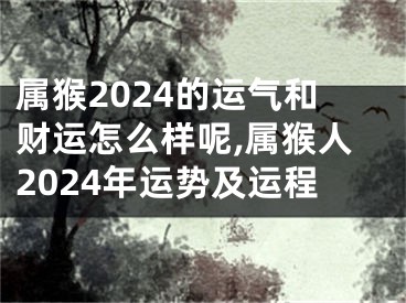 属猴2024的运气和财运怎么样呢,属猴人2024年运势及运程