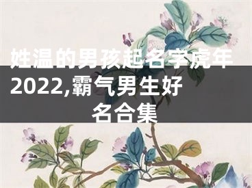 姓温的男孩起名字虎年2022,霸气男生好名合集