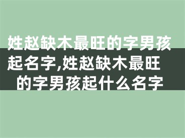 姓赵缺木最旺的字男孩起名字,姓赵缺木最旺的字男孩起什么名字