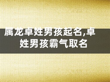 属龙卓姓男孩起名,卓姓男孩霸气取名