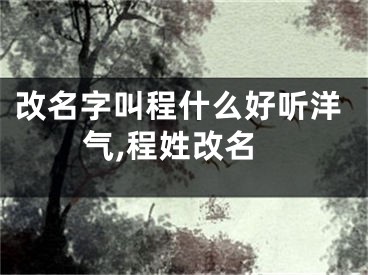 改名字叫程什么好听洋气,程姓改名