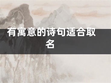  有寓意的诗句适合取名 