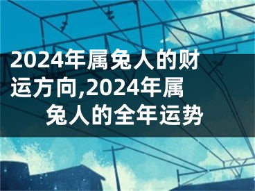 2024年属兔人的财运方向,2024年属兔人的全年运势