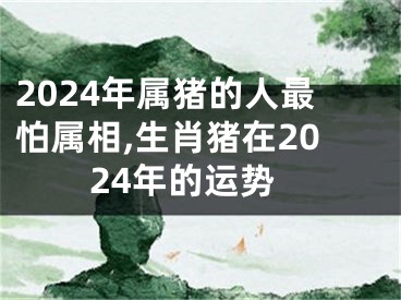 2024年属猪的人最怕属相,生肖猪在2024年的运势