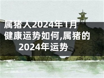 属猪人2024年1月健康运势如何,属猪的2024年运势