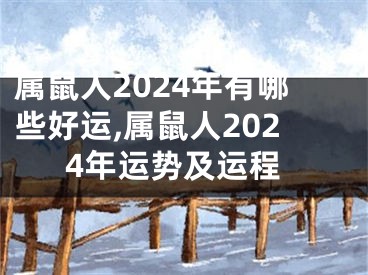 属鼠人2024年有哪些好运,属鼠人2024年运势及运程