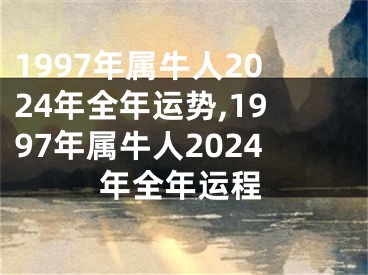 1997年属牛人2024年全年运势,1997年属牛人2024年全年运程