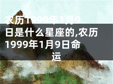 农历1999年1月9日是什么星座的,农历1999年1月9日命运