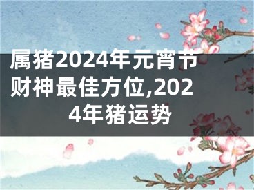 属猪2024年元宵节财神最佳方位,2024年猪运势