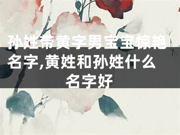 孙姓带黄字男宝宝惊艳名字,黄姓和孙姓什么名字好