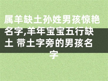 属羊缺土孙姓男孩惊艳名字,羊年宝宝五行缺土 带土字旁的男孩名字