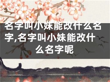 名字叫小妹能改什么名字,名字叫小妹能改什么名字呢