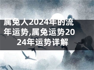 属兔人2024年的流年运势,属兔运势2024年运势详解