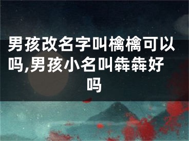 男孩改名字叫檎檎可以吗,男孩小名叫犇犇好吗