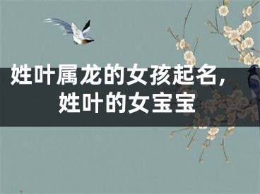 姓叶属龙的女孩起名,姓叶的女宝宝