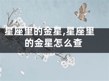 星座里的金星,星座里的金星怎么查