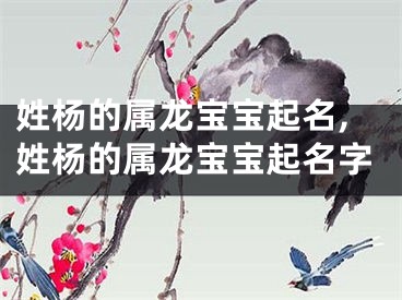 姓杨的属龙宝宝起名,姓杨的属龙宝宝起名字