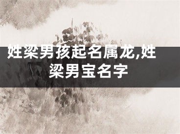 姓梁男孩起名属龙,姓梁男宝名字