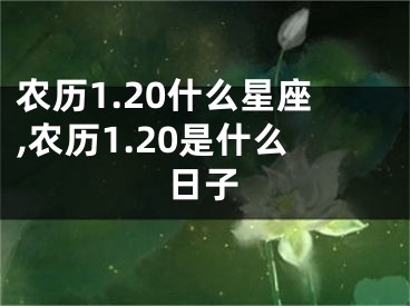 农历1.20什么星座,农历1.20是什么日子