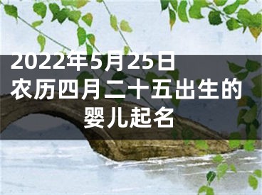 2022年5月25日农历四月二十五出生的婴儿起名