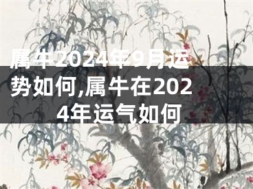 属牛2024年9月运势如何,属牛在2024年运气如何