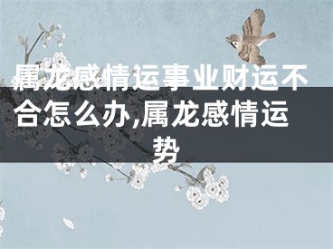 属龙感情运事业财运不合怎么办,属龙感情运势