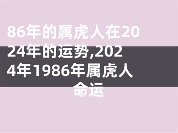 86年的属虎人在2024年的运势,2024年1986年属虎人命运